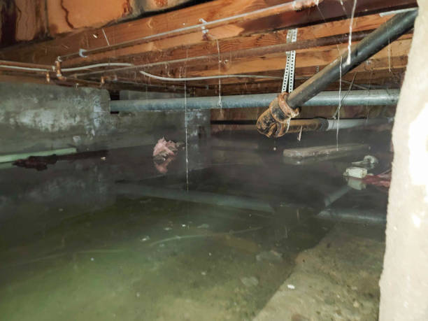 Best Commercial water damage restoration  in Victoria, KS