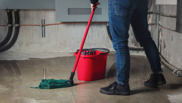 Best Water damage contractors near me  in Victoria, KS
