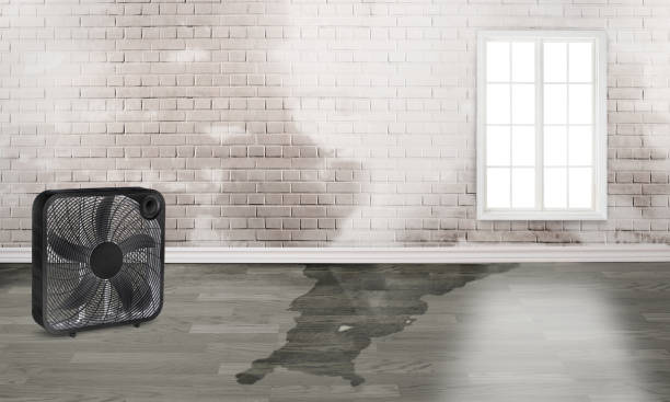 Best Fire Damage Restoration  in Victoria, KS