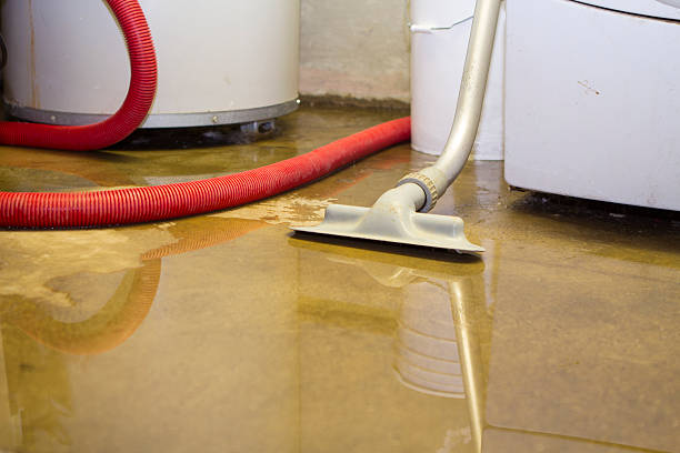 Best Flood restoration services  in Victoria, KS