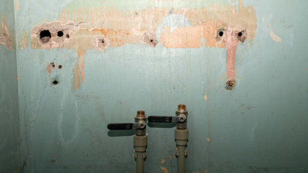 Best Flood damage cleanup  in Victoria, KS