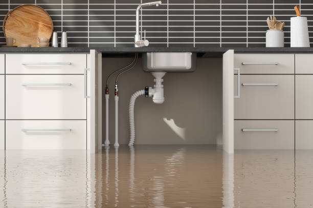 Best Flooded house restoration  in Victoria, KS